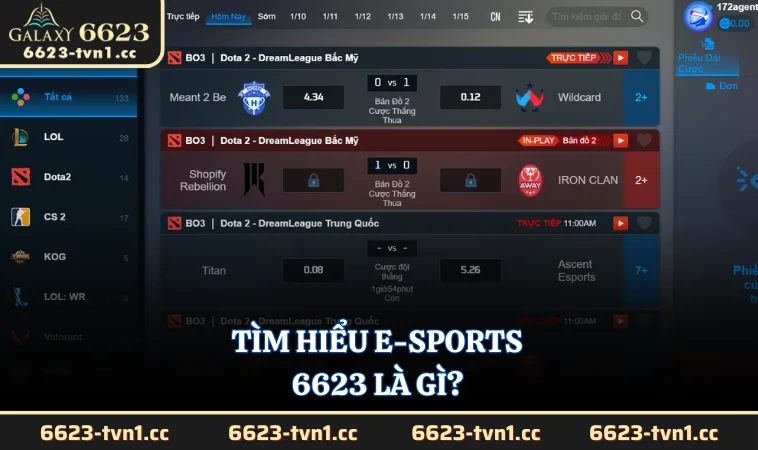 Tìm hiểu E-Sports 6623 là gì?